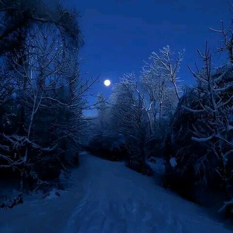 Blue Hour Photography, Snow Night, Blue Aesthetic Dark, Night Landscape, Winter Scenery, Blue Hour, Winter Blues, Winter Night, Winter Aesthetic