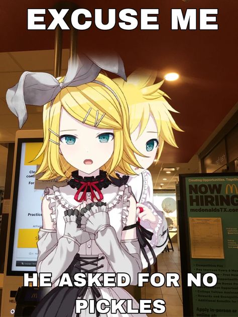 Project Sekai Memes Funny, He Asked For No Pickles, Funny Vocaloid, Len And Rin, Rin And Len, Len Y Rin, Vocaloid Len, Kagamine Twins, Kagamine Rin And Len