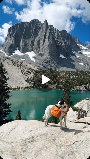 nicole freeman on Instagram: "This California hike takes you to seven lakes 🏔️

Located in the eastern Sierras – this is easily one of the most beautiful hikes in California located near Mount Whitney. 🏕️

📍Big Pine Lakes - 16 miles RT, +3,000 ft elevation

🥾 The hike begins at Big Pine Creek North Fork trailhead. It’s about a five mile hike before you reach the first lake full of this stunning turquoise water. From there the lakes are pretty close together, the hike is 16 miles RT if you go to all seven lakes.

📄 While a permit is not required for a day hike, backpacking requires a permit and they are very limited. Permits are available six months in the advance on Recreation.gov & they go fast. Be sure you’re looking for the North Fork trailhead and not the South Fork, they are sepa Nicole Freeman, Mount Whitney Hiking, Belmont Lake State Park, Alpine Lakes Wilderness Washington, Backpacking Trails U.s. States, Mount Whitney, Hiking The Pacific Crest Trail, California Hikes, Pine Lake