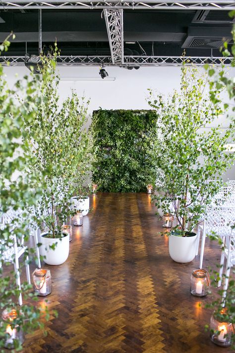 Grünpflanzen als Deko Wedding Amphitheater Decor, Wedding Decor Potted Plants, Wedding Decor Trees Indoor, Wedding Decor With Trees, Trees For Wedding Decor, Indoor Plants Wedding Decor, Wedding Trees Indoor, Indoor Trees Wedding, Trees Indoor Wedding