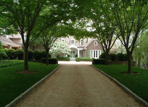 Residence Landscape, Gravel Drive, Beautiful Driveways, Long Driveway, Driveway Ideas, Driveway Entrance, Driveway Design, Driveway Landscaping, Long Driveways