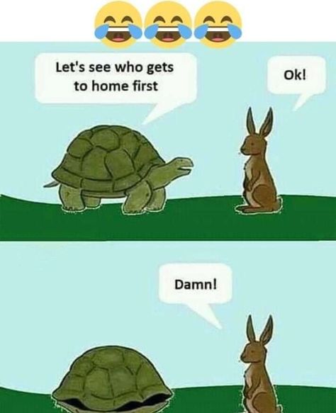 Funny rabbit tortoise memes from necessary4you Rabbit And Tortoise, One Line Jokes, Online Jokes, One Liner Jokes, Blonde Jokes, New Funny Memes, Funny One Liners, Funny Jokes To Tell, Comedy Jokes