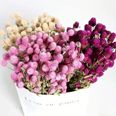 Temu | Explore the Latest Clothing, Beauty, Home, Jewelry & More Gomphrena Flowers, Bottle Arrangements, Wedding Wildflowers, Dry Flower Bouquet, Flower Language, Globe Amaranth, Dried Lavender Flowers, Wedding Arches, Floral Swag