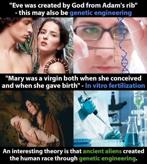 Do Aliens Exist, Aliens Exist, Genetic Engineering, In Vitro Fertilization, Conceiving, Human Race, Ancient Aliens, God Is, Fertility