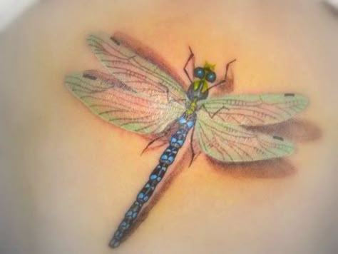 Tattoos are very fashionable. Although there are several ways to apply a tattoo on your body, some tattoo artists with great creativity, imagination and a steady hand are able to design and apply beautiful 3D Watercolor Dragonfly Tattoo, Dragonfly Tattoo Ideas, Dragonfly Tattoos, Catrina Tattoo, Flying Tattoo, Dragonfly Tattoo Design, Watercolor Dragonfly, Polynesian Tattoos, Dragon Flies