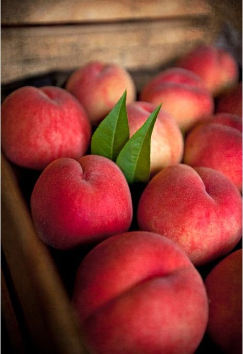 14 things you must experience in GA before you die Peach Vinegar, Balsamic Peach, Nectarine Fruit, Canning Peaches, White Balsamic, Fruit Picking, Fruits Images, Incredible Edibles, Peach Fruit