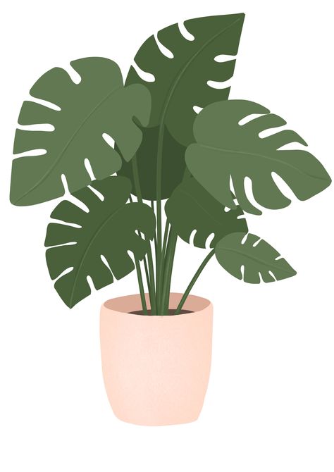 Plant Aesthetic Cartoon, Wallpaper Aesthetic Homescreen, Lockscreen Wallpaper Iphone, Plant Cartoon, Cuadros Diy, Soft Filter, Aesthetic Homescreen, Plant Art Print, Beach Illustration