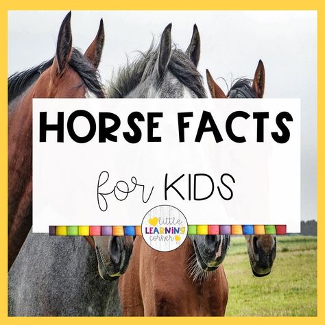 Learn about horses and ponies with these fun and easy horse facts for kids. Plus get your printable worksheets about horses for kids.... #horses #factsforkids 4h Horse Presentation Ideas, Horse Games For Kids, Horse Activities For Preschool, Horse Camp Crafts, Horse Activities For Kids, Horse Crafts For Kids, Horse Facts For Kids, Horse Worksheets, 4-h Poster Ideas