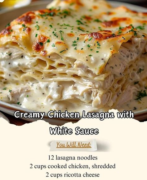 Paula Album's Creamy Chicken Lasagna, Lasagna With White Sauce, White Sauce Chicken, White Chicken Lasagna, Chicken Lasagna Recipe, Chicken Shredded, Lasagna Ingredients, Lasagna Noodles, Chicken Lasagna