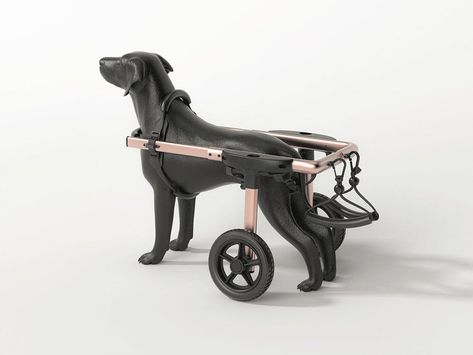 Diy Dog Wheelchair, Pet Diy Projects, Wheelchairs Design, Dog Wheelchair, Art Studio Space, Exhibition Display, Milan Design Week, Diy Stuffed Animals, Diy Dog Stuff