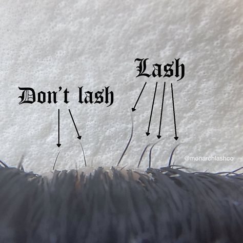 Lash Living Room, Eyelash Marketing Ideas, Lashing Tips, Lash School, Lash Training, Lash Tech Notes, Lash Extension Aesthetic, Lash Tips, Content Ideas For Lash Techs