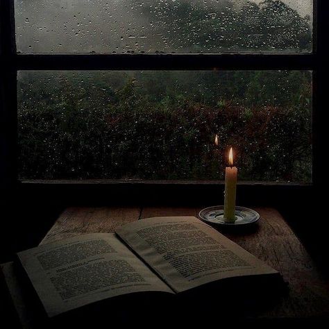 ya boi leo on Instagram: “dark academia sets this pretentious aura around everything it touches and reading is no exception. you don't have to only read 1820s…” Dark Academia Pictures, Dark Academia Widget, Acedamia Aesthetic, Dark Academia Phone, Dark Academia Library, Book Tag, Dark Acadamia, Candles Dark, Wrote A Book