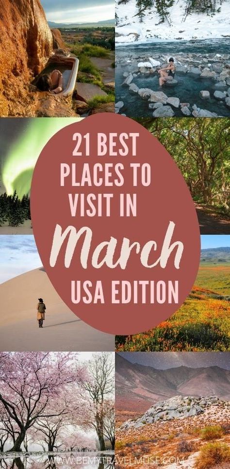 21 places to visit in March, USA edition! See where to go for spectacular wildflower blooms, northern lights, sprawling deserts, and snowy mountains across the US in the late winter or early spring. Best Spring Break Destinations In The Us, March Travel Destinations Usa, March Travel, Warm Vacation, Best Weekend Trips, Vacay Ideas, Places In Usa, Spring Break Destinations, Spring Break Trips