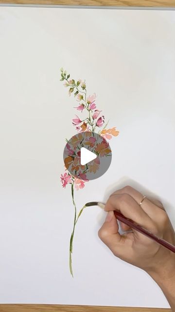 Carrie on Instagram: "Sorbet colors, Ice Cream vibes. 

#watercolortimelapse #watercolortutorial #loosewatercolor #watercolorflorals #learnwatercolor #paintingtimelapse #snapdragons #arttutorial #springflowers #colorfulflowers #rusticflowers #rusticdecor #wildflowers #watercolorwildflowers #watercolorartist" Learn Watercolor, Loose Watercolor, Rustic Flowers, Watercolour Tutorials, Watercolor Artist, Spring Flowers, Colorful Flowers, Art Tutorials, Floral Watercolor