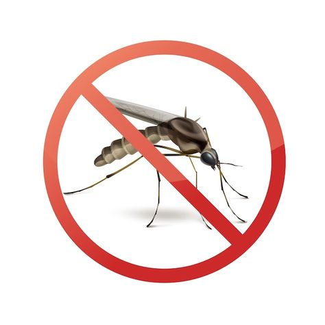 Stop prohibit sign on mosquito close up ... | Free Vector #Freepik #freevector #sting #mosquito #insect #bug Side View, Vector Design, Close Up, White Background, Vector Images, Vector Free, Siding, Signs, White