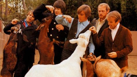 Unlike most iconic pop music, the Beach Boys’ Pet Sounds never hits you over the head with its greatness. But as it turns 50, its enduring beauty only glows brighter. Pet Sounds Beach Boys, The Velvet Underground & Nico, Classic Rock Albums, Surf Music, Pet Sounds, Beach Boy, Brian Wilson, Pop Albums, Google Play Music