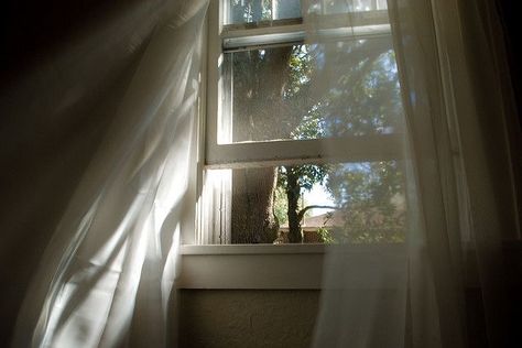 p i n t e r e s t: love, dai ♡ An Open Window, Fotografi Vintage, Bedroom Windows, Window View, Open Window, Through The Window, Summer Breeze, Morning Light, The Window