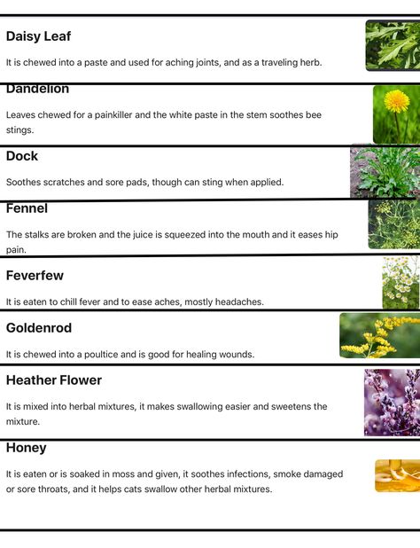 Warrior Cats Herbs, Herbs Warrior Cats, Herbs For Cats, Warrior Cats Herb Guide, Warriors Medicine Cat Herbs, What Is Your Warrior Cat Name, Your Warrior Cat Name, Warrior Cats Medicine Cat Guide, Cat Remedies