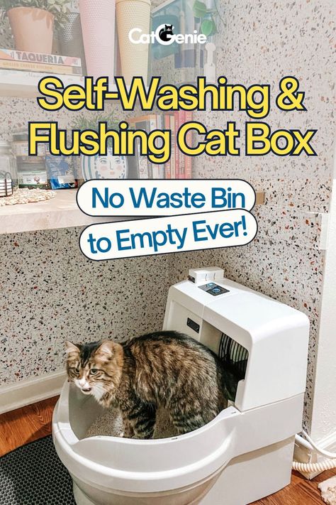 Self washing and flushing cat box. no waste bin to empty ever. Homemade Litter Boxes Diy, Best Self Cleaning Cat Litter Boxes, Elevated Cat Litter Box Ideas, Automatic Cat Litter Box Ideas, Best Cat Litter Boxes, Cat Litter Room Ideas, Cat Litter Set Up, Self Cleaning Litter Box Cats, Outdoor Cat Litter Box Ideas