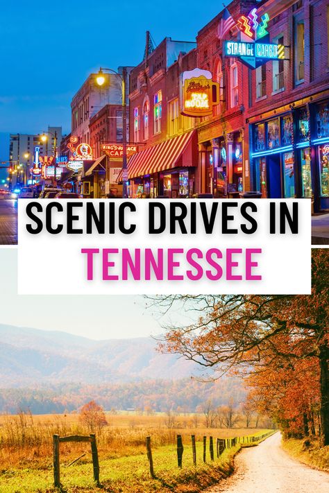 scenic drives in Tennessee Visit Tennessee, Tennessee Travel, Canada Travel Guide, Us Road Trip, Alaska Travel, Useful Tips, Scenic Drive, United States Travel, North America Travel