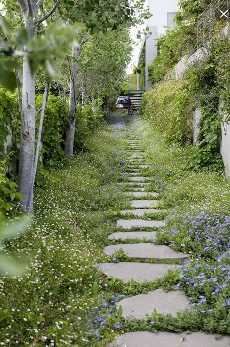 Natural Forest Garden, Cheap Walking Path Ideas, Pavers Ideas, Garden Layouts, Garden Path, Permaculture Gardening, Cottage Garden Design, Garden Cottage, Garden Pathway