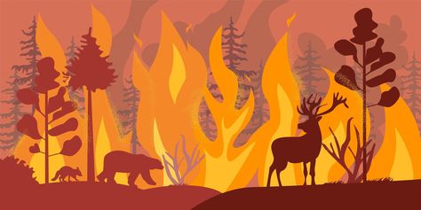 Silhouettes of wild animals at forest fire Fire Safety Poster, Fire Animation, Fire Vector, Forest Drawing, Fire Drawing, Desain Buklet, Nature Art Drawings, Fire Painting, Wild Fire