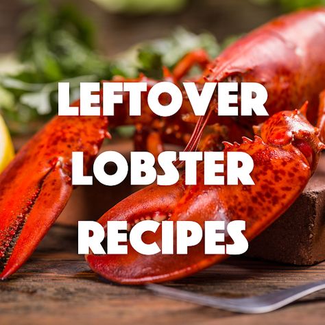 Leftover Lobster Recipes: Easy Rolls, Bisque, & More Leftover Lobster Recipes, Leftover Lobster, Lobster Recipes Easy, Iced Matcha Latte Recipe, Lobster Pizza, Lobster Chowder, Lobster Bisque Recipe, Lobster Risotto, Matcha Latte Recipe