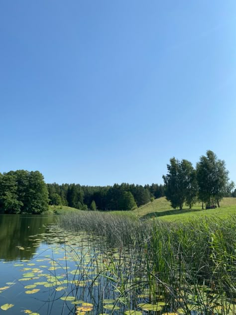 Summer In Lithuania, Lithuania Countryside, Baltic Paganism, Lithuanian Nature, Lithuania Nature, Lithuania Aesthetic, Lithuania Food, Nature Pond, Travel Plan