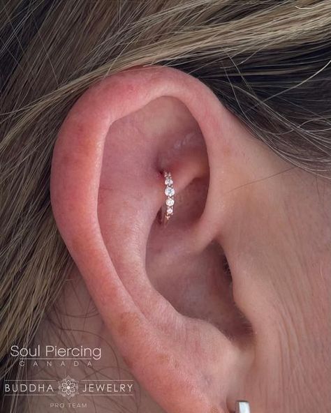 Piercing Aesthetic, Ear Styling, Minimalist Ear Piercings, Unique Ear Piercings, Cute Ear Piercings, Ear Style, Piercing Tattoo, Beautiful Rose, Ear Jewelry