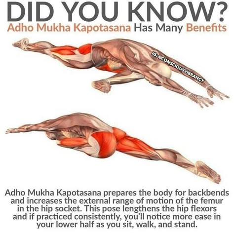 Ashtanga Vinyasa Yoga, Yoga Anatomy, Healthy Activities, Perfect Health, Pigeon Pose, Yoga Iyengar, Pilates Training, Hip Muscles, Yoga Journal