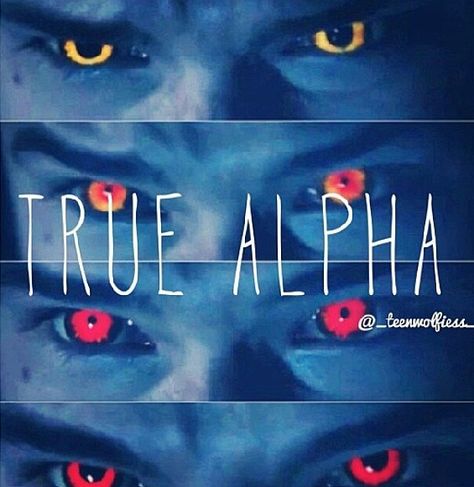 True Alpha Alpha Wallpaper, Max Carver, Teen Wolf Werewolf, True Alpha, Werewolf Drawing, Hayley The Originals, Alpha Werewolf, Teen Wolf Scott, Teen Wolf Seasons