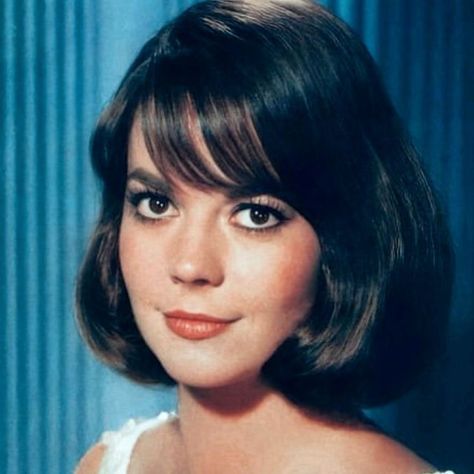 Natalie Wood on Instagram: "Natalie started the 1960s with high drama and musicals and then took on a few comedic roles - even of the slapstick kind.  It has been said that comedy is the most difficult acting genre but that didn’t matter.  Natalie always challenged herself to improve whether it be on film or in life and encouraged others to do the same too.   #nataliewood #lamourmere #nataliefragrance #splendorinthegrass #westsidestory #gypsy #sexandthesinglegirl #penelope #drama #musicals #comedy #classicmovies #classicmoviestars #nataliewoodwhatremainsbehind #morethanlovebook" Natalie Wood Hair, Virginia Slims, Life Drawings, Old Hollywood Actresses, Splendour In The Grass, Natalie Wood, Classic Movie Stars, Time Period, Intj