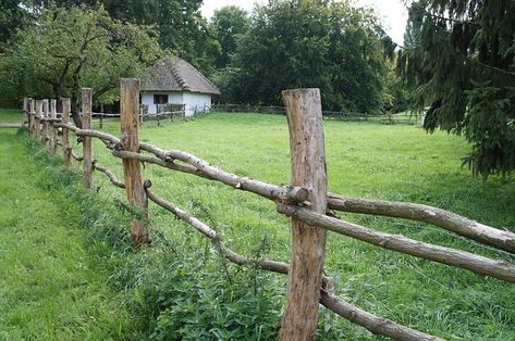 Branch Fence, Rustic Garden Fence, Garden Gates And Fencing, St David, Country Fences, Rustic Fence, Garden Venue, Farm Fence, Diy Backyard Landscaping