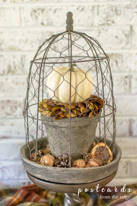 Fall Chicken Wire Cloche Decorating Ideas Chicken Wire Cloche, Wire Cloche, Chicken Wire Crafts, Cloche Decor, Preserved Boxwood Wreath, Diy Mantel, Small Pine Cones, Fall Blanket, Metal Chicken