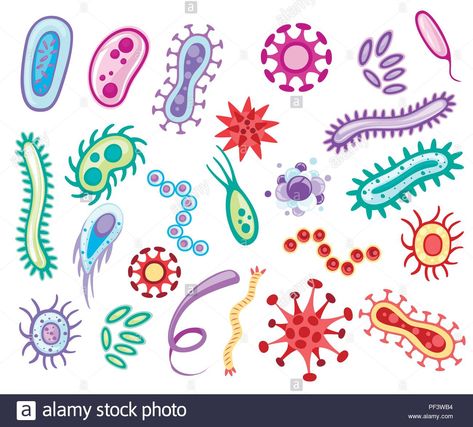 Microbiology Drawing, Dentistry Art, School Science Experiments, Chemistry Art, Science Illustration, Science Biology, Microbiology, Art Studies, Science Experiments