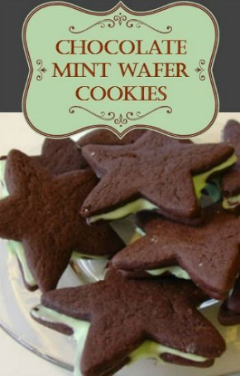 Wafer Cookies Recipe, Winter Cookies Recipes, Holly Cookies, Wafer Cookie Recipe, Refrigerator Cookies, Awesome Desserts, Winter Cookies, Dark Chocolate Cookies, Winter Cookie