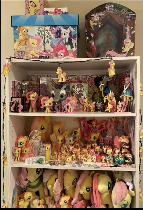 My Little Pony Collection Display, Fluttershy Collection, My Little Pony Plushies, Mlp Room, Mlp Collection, Mlp Toys, My Little Pony Collection, My Little Pony Toys, My Lil Pony