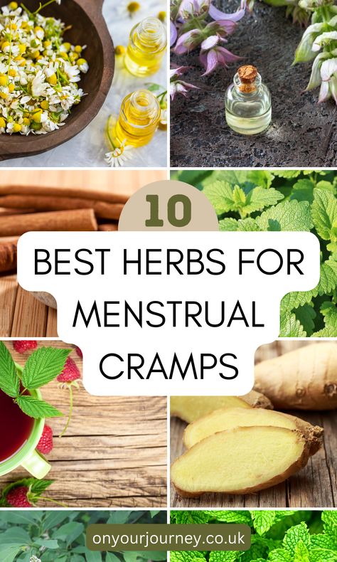 Best Herbs For Menstrual Cramps, Herbal Remedies For Period Cramps, Teas For Menstrual Cramps, Foods For Menstrual Cramps, Herbs For Menstruation, Remedies For Menstrual Cramps Home, Natural Remedies For Menstrual Cramps, Herbs For Cramps, Herbal Tea For Menstrual Cramps