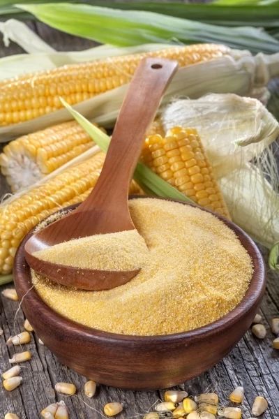 Does Cornmeal Go Bad - Does It Go Bad? Sweet Unleavened Bread Recipe, Patti Labelle Recipes, Water Cornbread Recipe, Cornbread Dishes, Hot Water Cornbread Recipe, Unleavened Bread Recipe, Water Cornbread, Easy Breads, Hot Water Cornbread