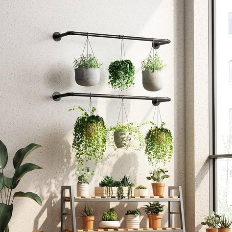 Amazon.com: TieLiHua 2Pcs Hanging Planter for Indoor Plants, Black Metal Planter Hanger, Indoor Plant Hanging Rod, Wall Hanging Plant Holder for Window Ceiling Living Room : Patio, Lawn & Garden Outdoor Patio Plant Wall, Plant Room Wall Color, Plants Hanging In Front Of Window, Wall Plant Hanger Macrame, Hanging Window Plants, Plant Hanging Rod, Plant Set Up Indoor, Window Hanging Plants, Ceiling Plant Hanger