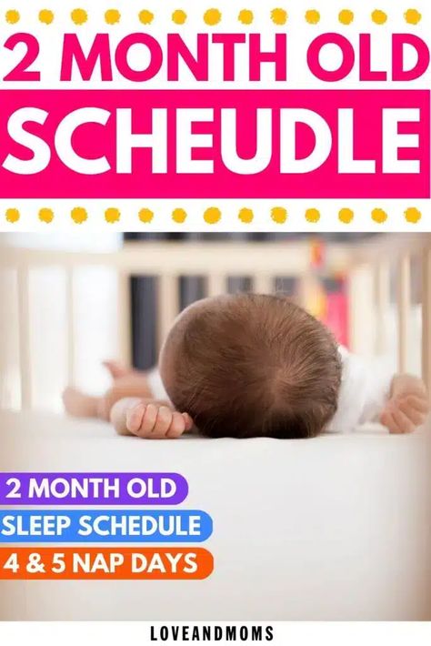 The Best Sleep Schedule For 2 Month Old Baby Love and Moms 7 Month Old Sleep, Baby Constipation Remedies, Nap Day, Constipated Baby, 2 Month Old Baby, Newborn Sleep Schedule, 2 Months Old, Baby Sleep Schedule, Baby Life Hacks