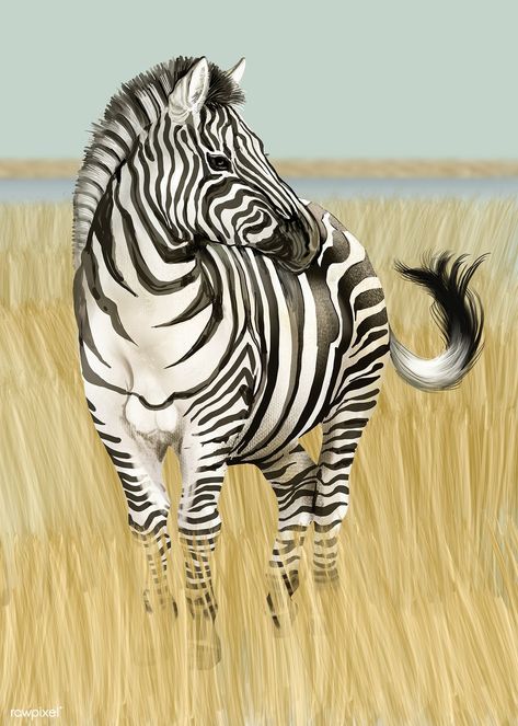 Oak Leaf Tattoos, Wild Illustration, Zebra Artwork, Zebra Cartoon, Zebra Pictures, Zebra Illustration, Zebra Painting, African Plains, Wild Animals Photography