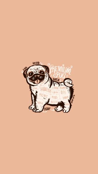 Pug Wallpaper, Anjing Pug, Chubby Puppies, Pug Breed, Pug Cartoon, Pug Tattoo, Pugs And Kisses, Pug Pictures, Pug Art