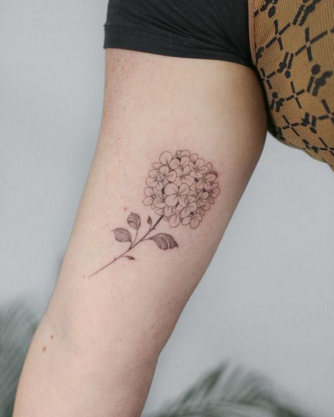 Hydrangea Tattoo Black And White, Hydrangea Tattoo Sleeve, Hydrangea Tattoo, Mouth Tattoo, Jack Tattoo, Ear Art, Female Tattoo Artists, Small Hand Tattoos, Girly Tattoos