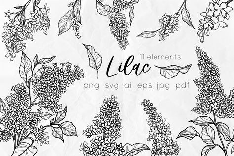 Lilac Flowers Line Art SVG Lilac Line Art, Linear Flowers, Flowers Line Art, Line Art Svg, Trendy Graphics, Svg Flowers, Floral Svg, Bel Art, Flowers Svg