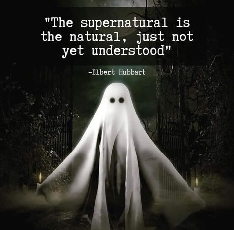 Ghost Poems, Funny Paranormal, Ghost Quote, Creepy Quotes, Ghost Images, Creepy Things, Writing Motivation, Haunted Places, Mind Body Spirit