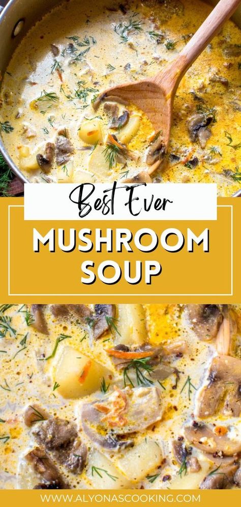 Carrot Mushroom Soup, Mushroom And Onion Soup Recipes, Mushroom Dill Soup, Mushroom And Herb Soup, Truffle Soup Recipe, Cheesy Mushroom Soup, Cream If Mushroom Soup Recipes, Potato Mushroom Soup Recipes, Mushroom Onion Soup Recipes