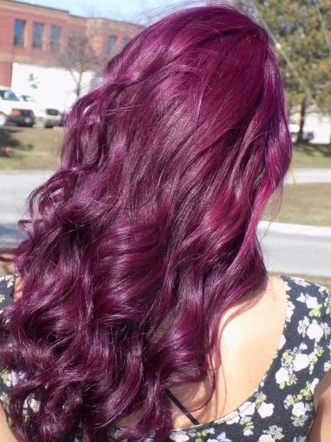 Magenta And Purple Hair, Purple Magenta Hair, Magenta Hair Dye, Reddish Purple Hair, Purple Burgundy Hair, Magenta Red Hair, Raspberry Hair Color, Magenta Aesthetic, Pelo Color Vino