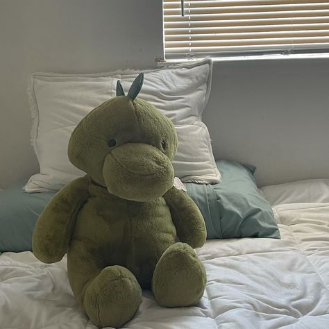 Dino Plushies, Green Teddy Bear, Cute Squishies, Au Ideas, Dinosaur Plush, Dinosaur Toys, Wearable Blanket, Cute Room Decor, Birthday Gift Ideas