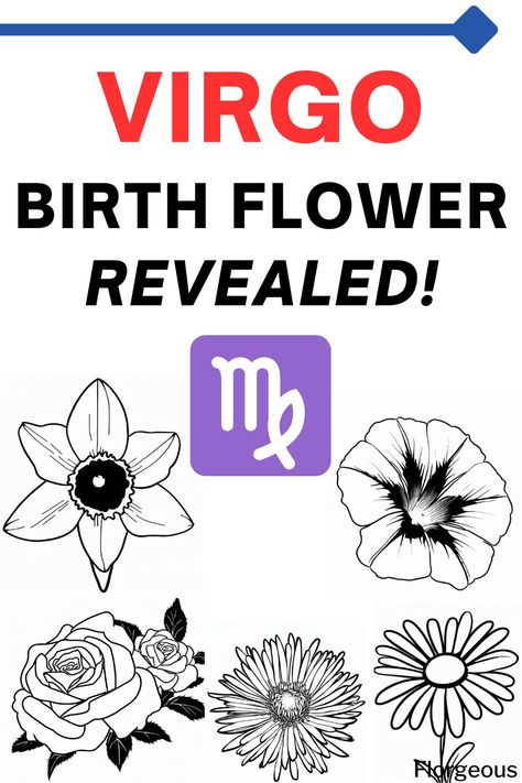 Virgo Birth Flower Plants For Virgo, Virgo Flower Tattoo September, Virgo Birth Flower, Flower And Meaning, Virgo Flower Tattoo, Virgo Flower, Virgo Symbol, Variety Of Flowers, Virgo Tattoo